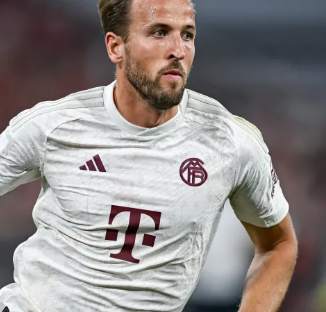 乌度卡强调 乌度卡强调